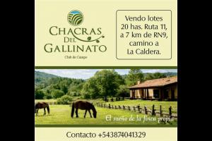 Campos y fincas Venta  Campos y fincas | EL GALLINATO